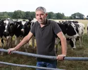 UK Dairy Farmers Lose £1,8k Daily as Milk Prices Plummet Below Cost