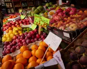 UK Food Security at Risk as Government Clings to Market-Only Approach