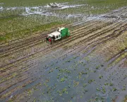 UK Security at Risk from Biodiversity Collapse, Warn Intelligence Chiefs