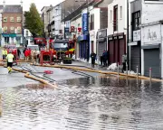 UK Watchdog: Government to Miss 7 in 10 Wildlife Targets by 2030