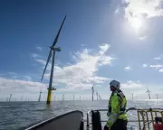 UK's Record 8.4GW Wind Auction Secures Power, But at a Higher Price