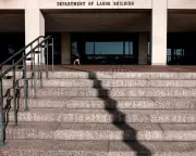 US Labour Dept's 'One Homeland' Posts Spark Nazi Slogan Comparisons