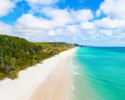 Woman Found Dead on K'gari, Dingo Attack Suspected in Tragic Incident