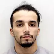 Wrongly freed sex offender admits biting two off-duty police officers