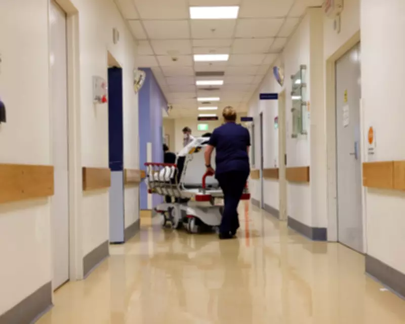 Banned Surgeon Appointed to Clinical Safety Role in Queensland Health