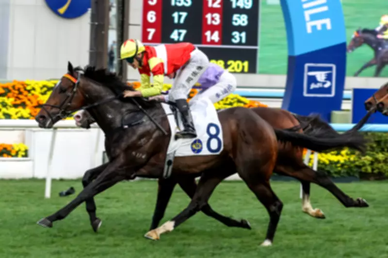 Lucky Sam Gor Aims for Classic Series Slot with Sha Tin Victory Bid