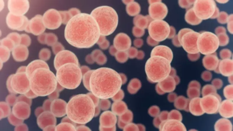 UK's Ambitious 10-Year Cancer Strategy Aims to Save 320,000 Lives