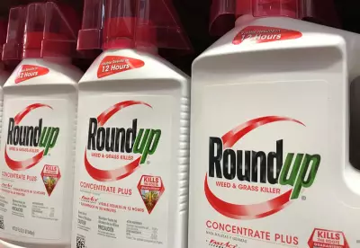 Bayer's $7.25bn Roundup Settlement Challenged by Cancer Sufferers' Lawyers