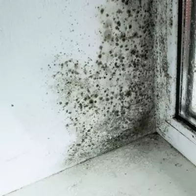 Brent Council pays £5,200 after family with autistic child left in mouldy home for over two years