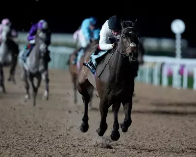 Constitution Hill Switches to Flat Racing, Skips Champion Hurdle