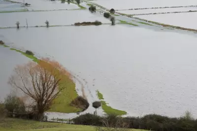 Dutch Experts Urge UK to End Flood Cycle with Netherlands' Proven Methods
