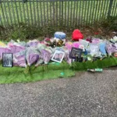 E-Bike Rider Killed in Horse and Cart Collision on 'Wild West' Chingford Lane