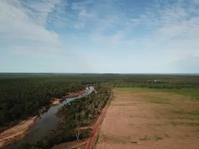 Federal Approval Sparks Outrage Over NT Land Clearing for 13 Threatened Species