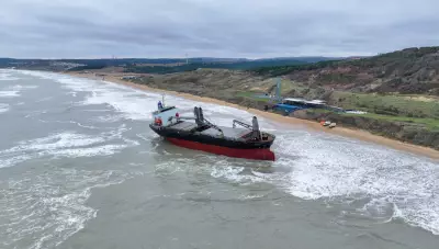 Grounded Cargo Ship and Sea Goddess: Tuesday's Top Photos