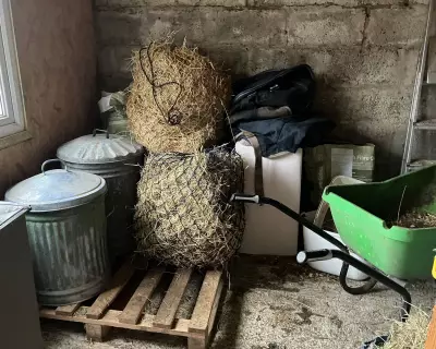 Hay Stocks Running Low: The Lingering Impact of Last Year's Drought