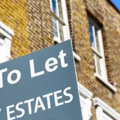 Ilford HMO Shut Down Over Black Mould and Mouse Infestation