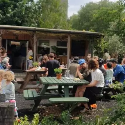 London's Secret Cat Cafe: Pet Felines for Free at Stepney City Farm