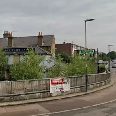 Massive Cannabis Farm Discovered in Historic West London Pub