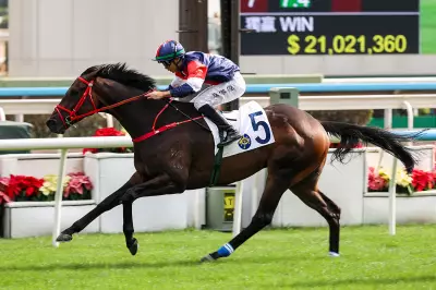 Numbers Aims to Make Experience Count in Centenary Vase Handicap