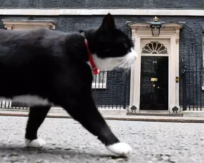 Palmerston, the Foreign Office's Celebrated 'Diplocat,' Passes Away in Bermuda