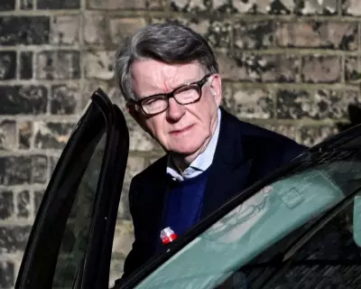 Peter Mandelson's Dramatic Fall from UK Ambassador to Epstein Scandal Arrest