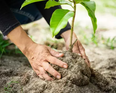 Readers Share Visionary Ways to Spend $1 Billion for Social Good