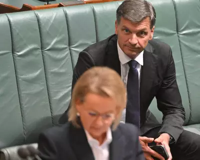Sussan Ley: A Scapegoat for Deeper Liberal Party Issues