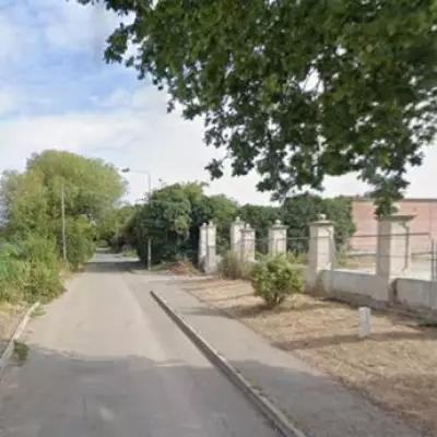 Tragic Fatal Collision in Chingford: E-Bike Rider Killed by Horse and Cart