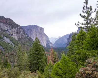 Trump Nominates Scott Socha to Lead National Park Service