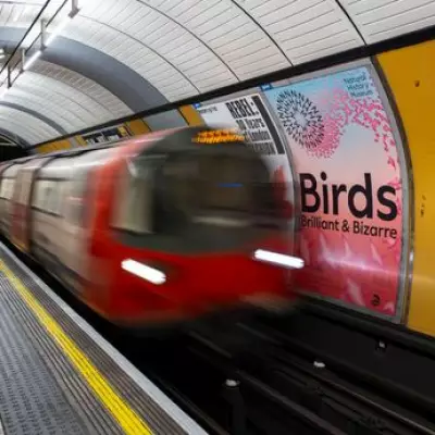 Tube Train Ranking: Rail Enthusiast Rates London Underground Carriages