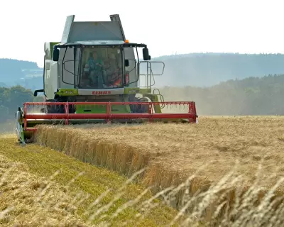 UK Farmers Face Financial Losses Under New Environmental Scheme Plans