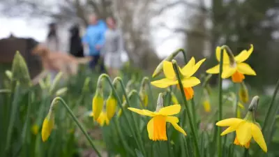 UK Weather: Spring-Like 16C Weekend Ends Frosty Spell, But Flood Risk Remains