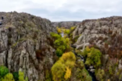 Ukraine's Rare Plants Under Threat: Botanists Race Against Time Amid War