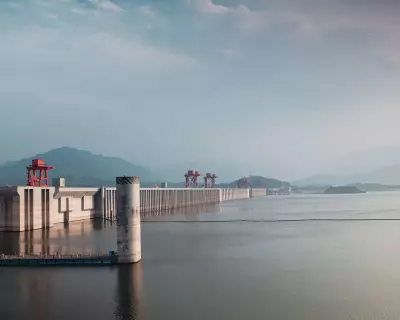 Yangtze River Ecosystem Shows Dramatic Recovery Following Fishing Ban