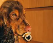 24 Photography Exhibition 2026: A 24-Year Time-Shifting Narrative in London