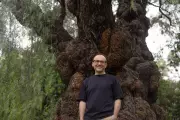 Adam Bandt's New Mission: Leading Australian Conservation Foundation After Politics