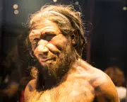 Ancient DNA Reveals Neanderthal-Human Mating Bias: Male Neanderthals, Female Humans