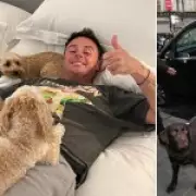 Ant McPartlin Exits Britain's Got Talent Launch Following Beloved Dog's Death