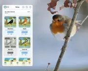 Birdex App Gamifies Birdwatching with Pokémon-Style Rewards System