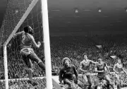 Brighton's 1983 FA Cup Final: A Tale of Glory and Relegation