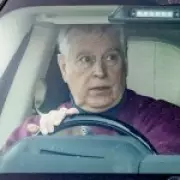 Buckingham Palace Dinner: Epstein Took Romanian Model to Meet Prince Andrew