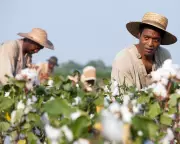 Carrie Gibson's 'The Great Resistance' Offers Sweeping History of Anti-Slavery Struggle