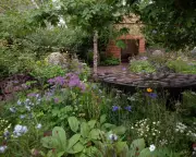 Chelsea Flower Show Seeks New Charity Sponsors as Mystery Donors End Support