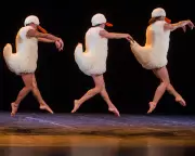 Chico's Mambo Tutu Review: A Vibrant Dance Spectacle at Sadler's Wells East