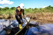 Colombian Wetlands Devastated by Oil Spills and Armed Conflict