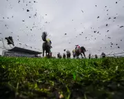 Constitution Hill's Triumphant Return at Southwell and Kempton