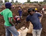 Desperate Gold Rush in South African Township Highlights Economic Despair