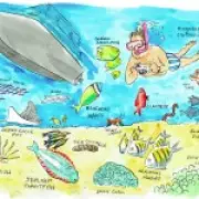 Discovering Tobago: The Unpretentious Caribbean Paradise That Captivates Hearts