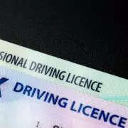DVLA Urges Drivers to Renew Licences Online to Save £7.50 Per Application