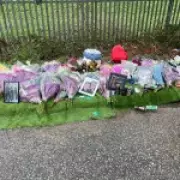 E-Bike Rider Killed in Horse and Cart Collision on 'Wild West' Chingford Lane